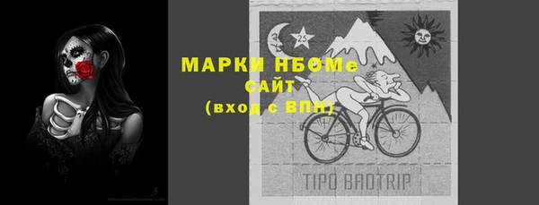 стаф Баксан