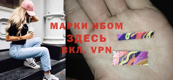стаф Баксан