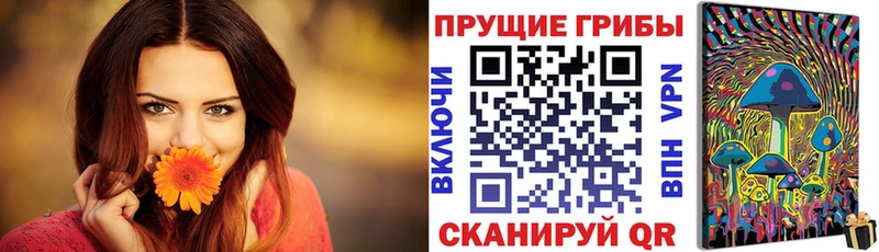 Галлюциногенные грибы GOLDEN TEACHER  где купить наркотик  Балей 